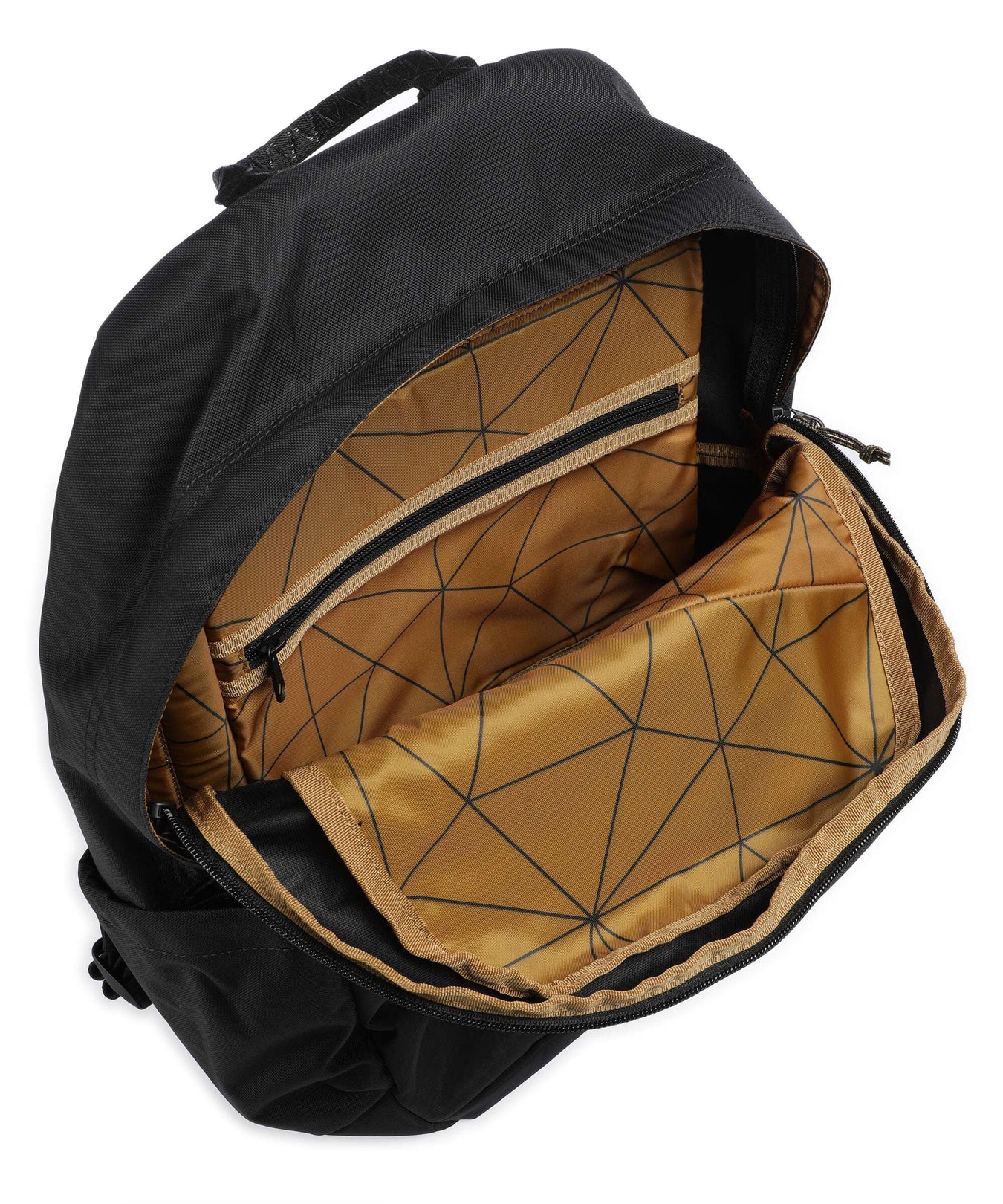 Thule Notus Backpack black