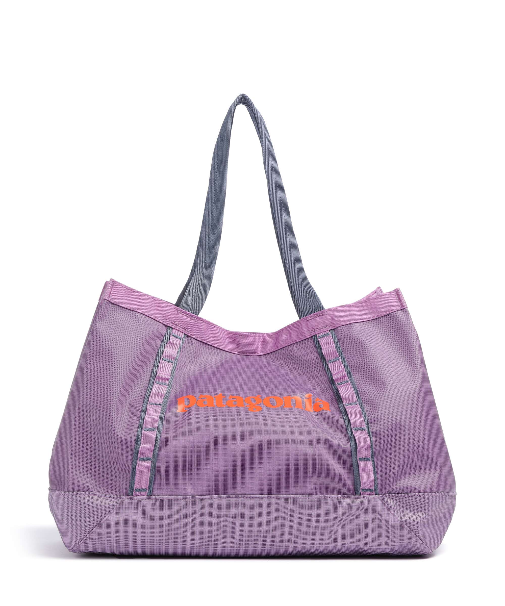 Patagonia Black Hole 25 Tote bag brisk purple
