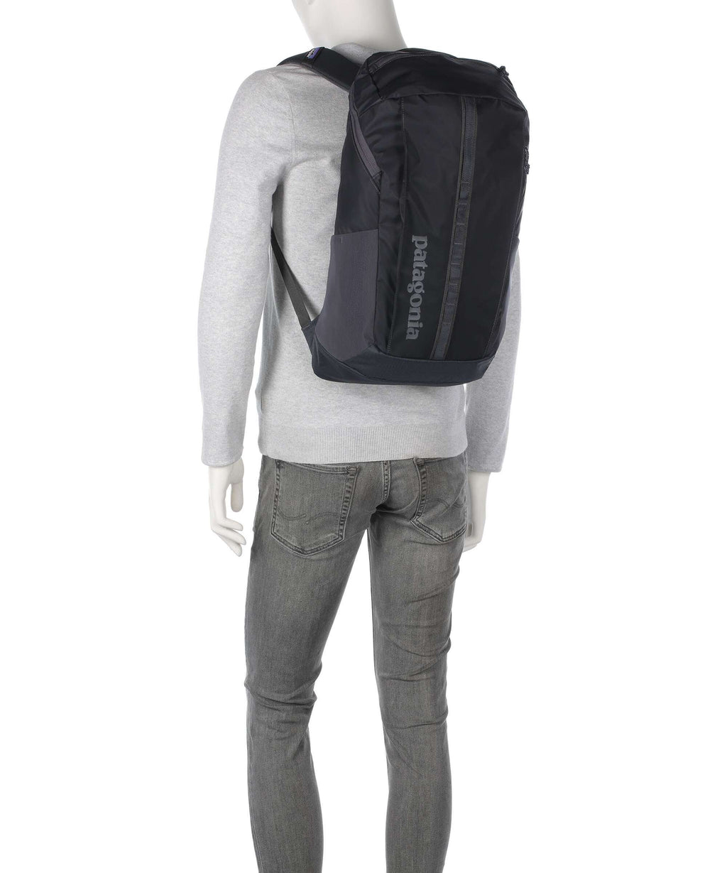 Patagonia Black Hole 25 Backpack birch white
