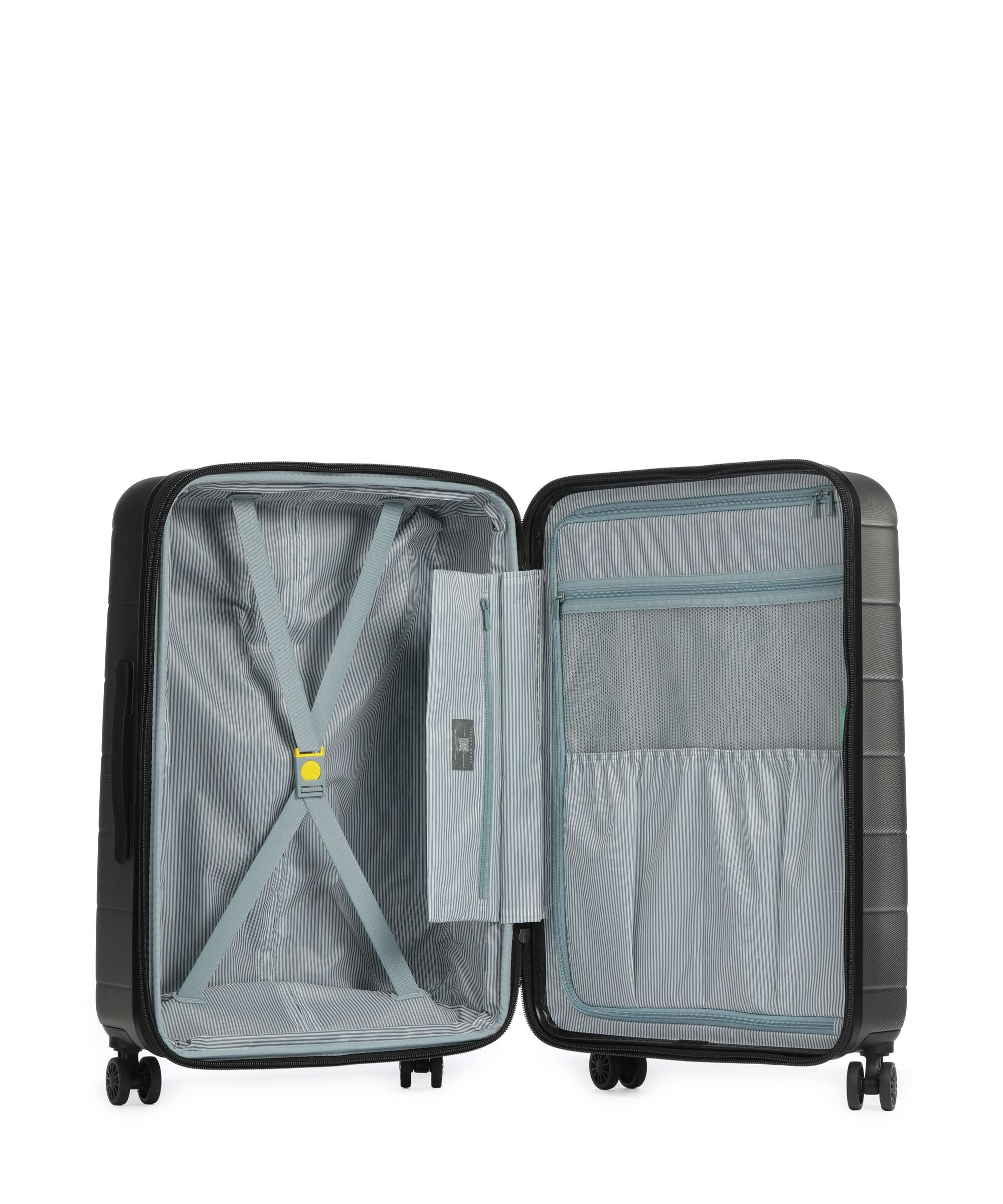 Delsey Paris Comete 4 Spinner (4 wheels) iguana