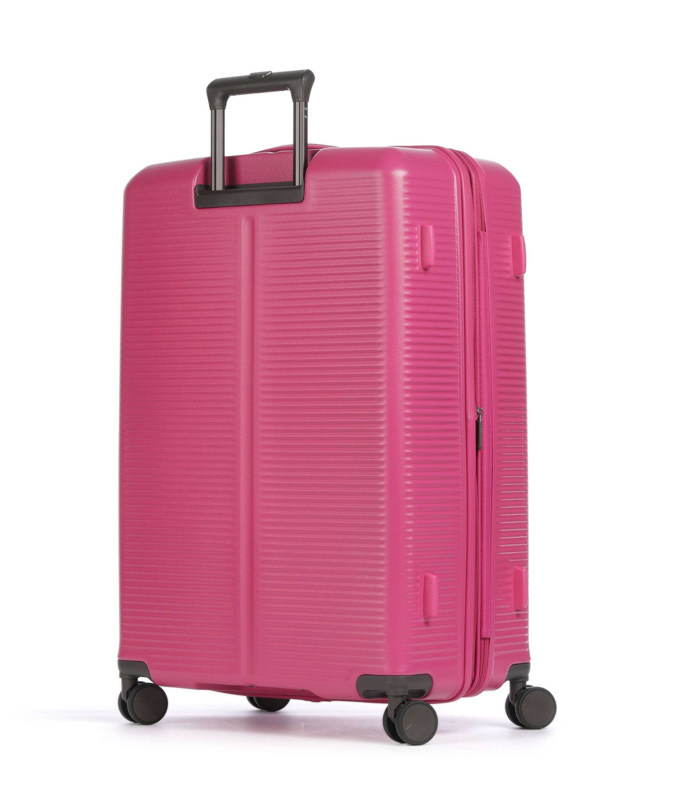 Jump Hendaye Spinner (4 wheels) fuchsia