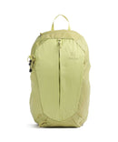 Deuter AC Lite 21 SL Ruksak za planinarenje sprout linden