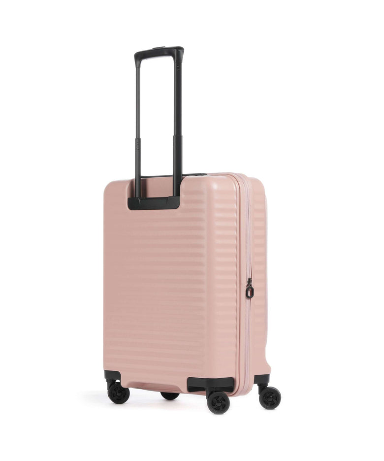 Echolac Celestra FA S Spinner (4 wheels) pink