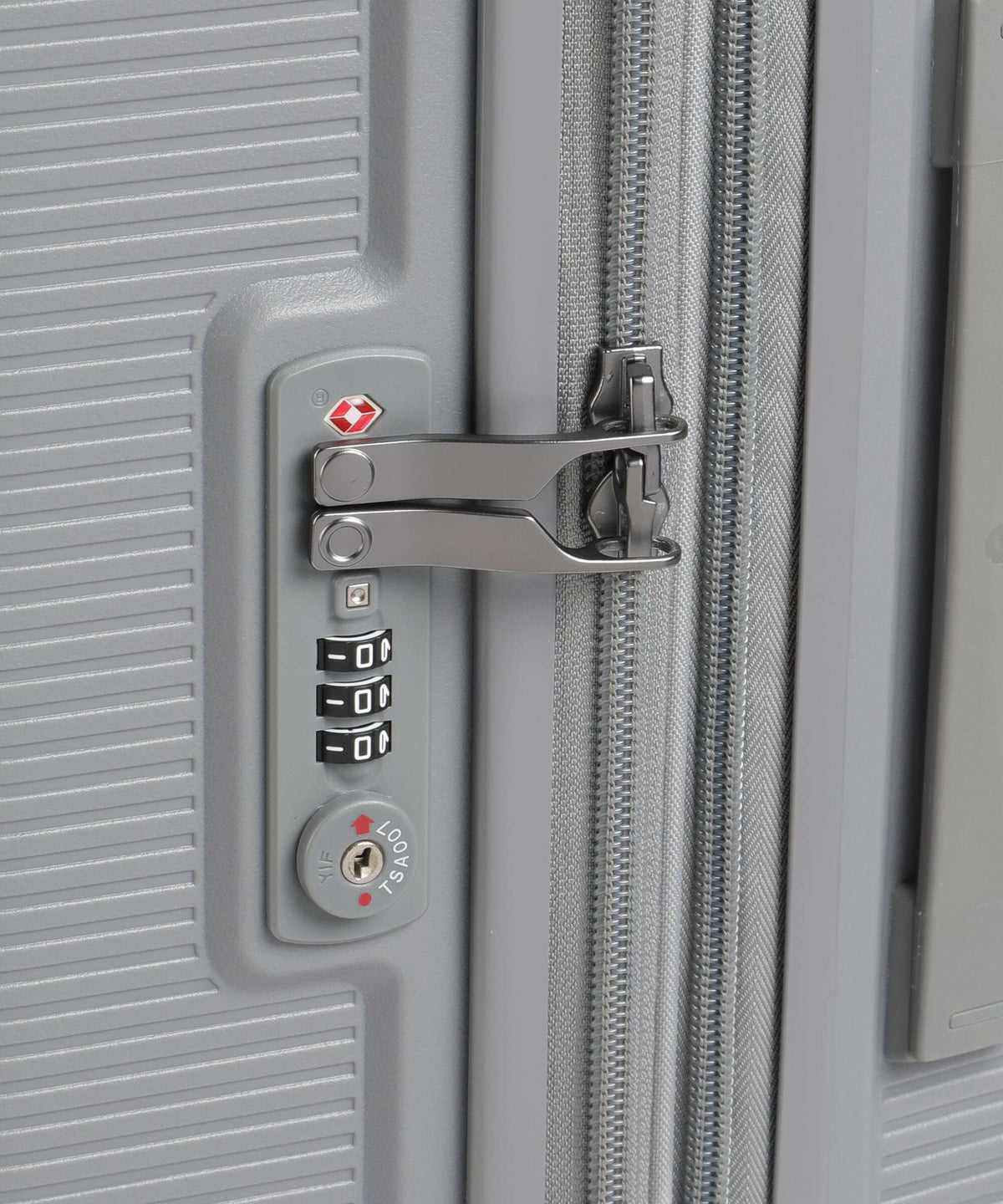 Echolac Forza L Spinner (4 wheels) arctic grey