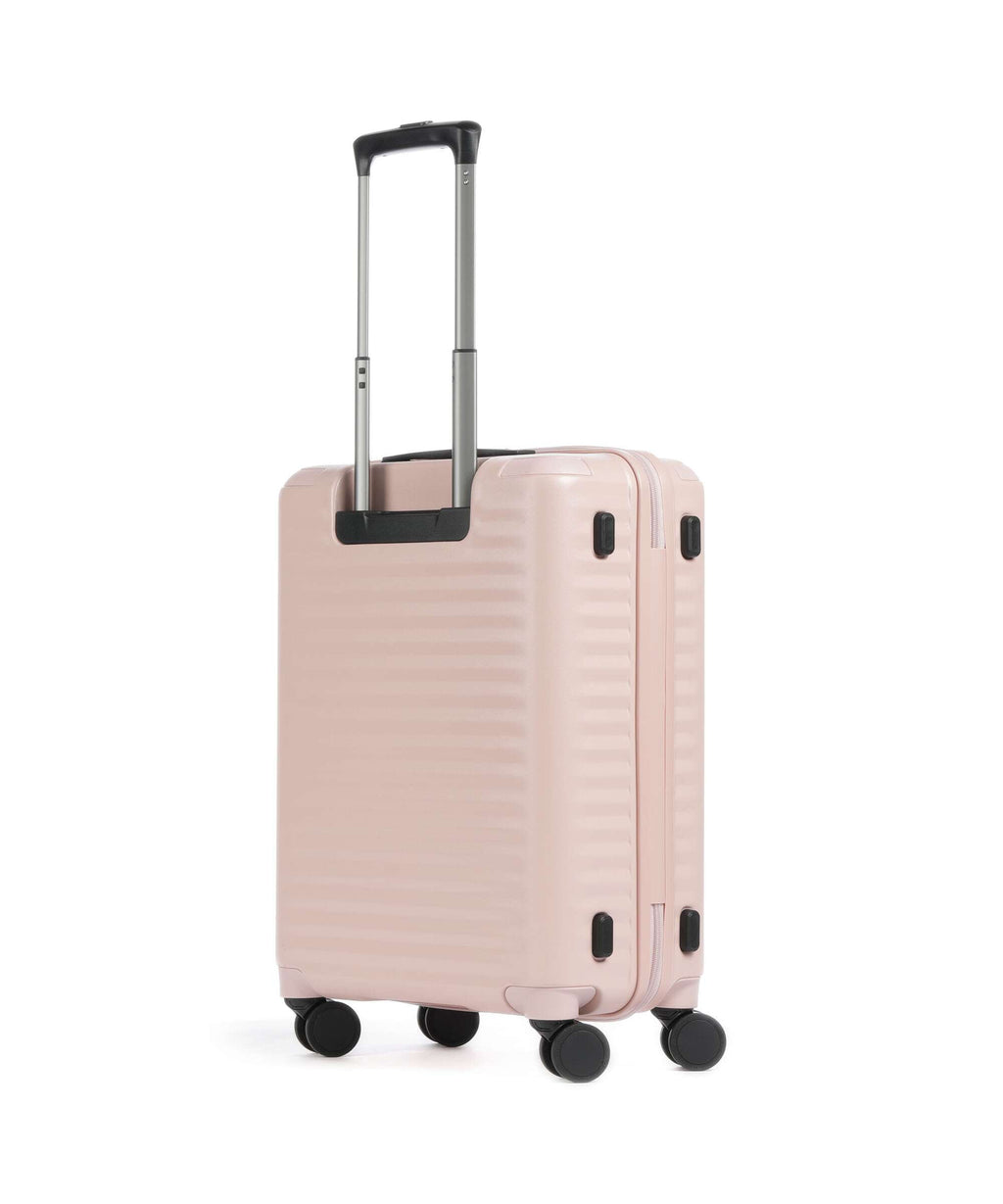 Echolac Celestra BLX S Spinner (4 wheels) pink