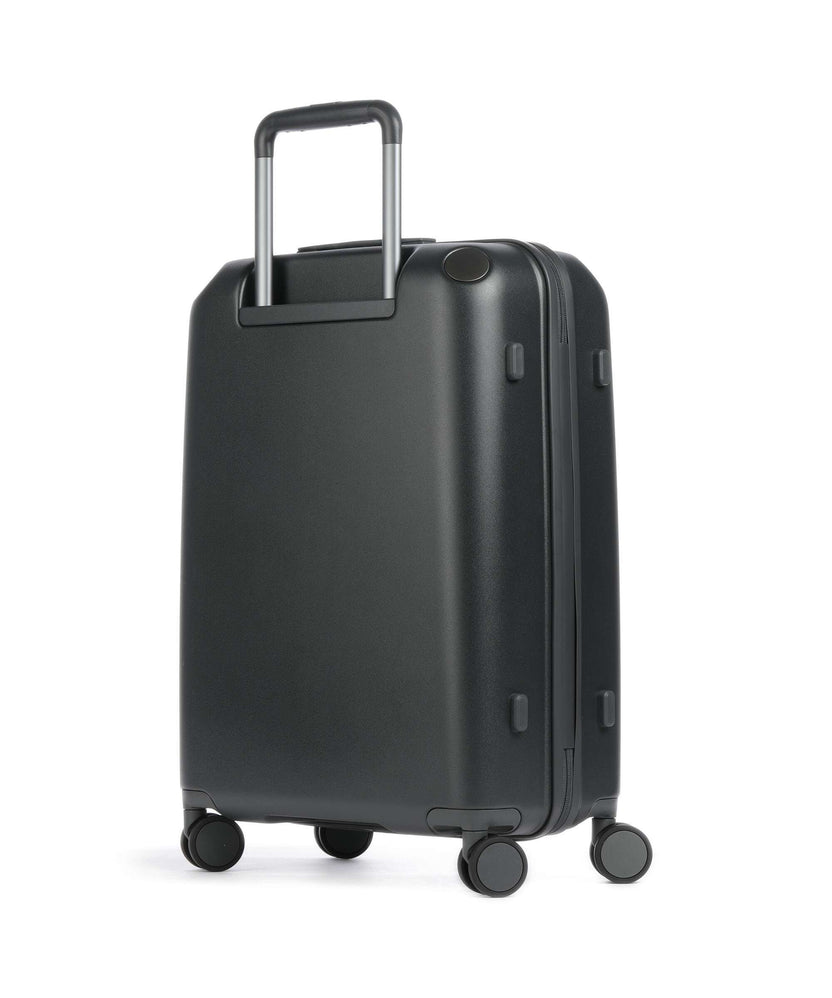 Echolac Panda M Spinner (4 wheels) anthracite/grey