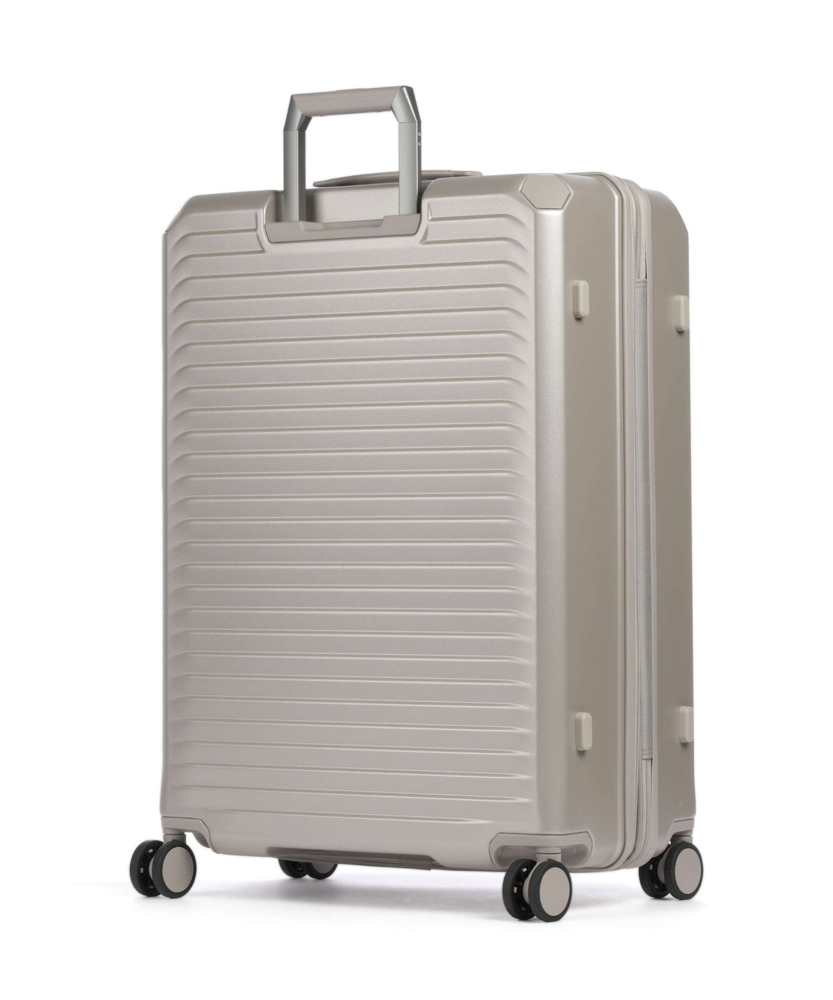 Echolac Shogun EVO L Spinner (4 wheels) champagne