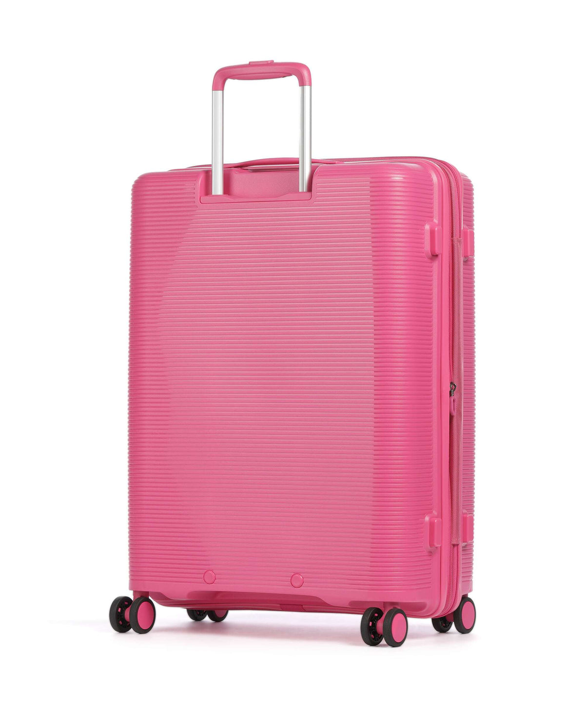Echolac Forza M Spinner (4 wheels) luminous pink