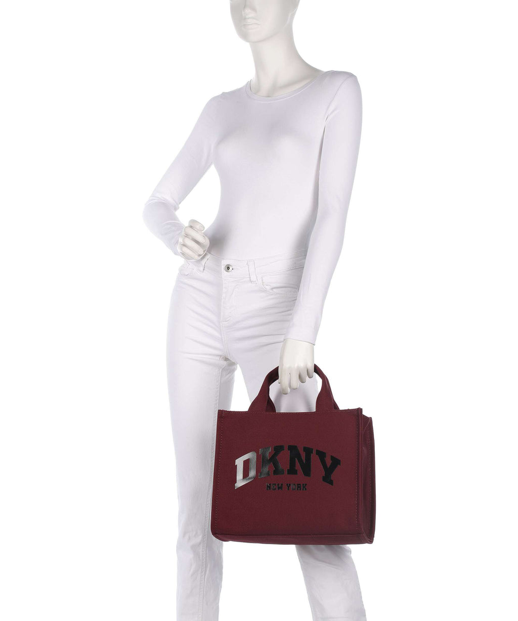 DKNY Hadlee Handbag aged wine