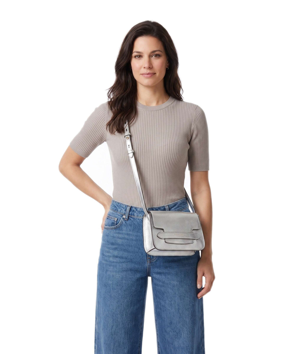 The Bridge Lucrezia Crossbody bag silver