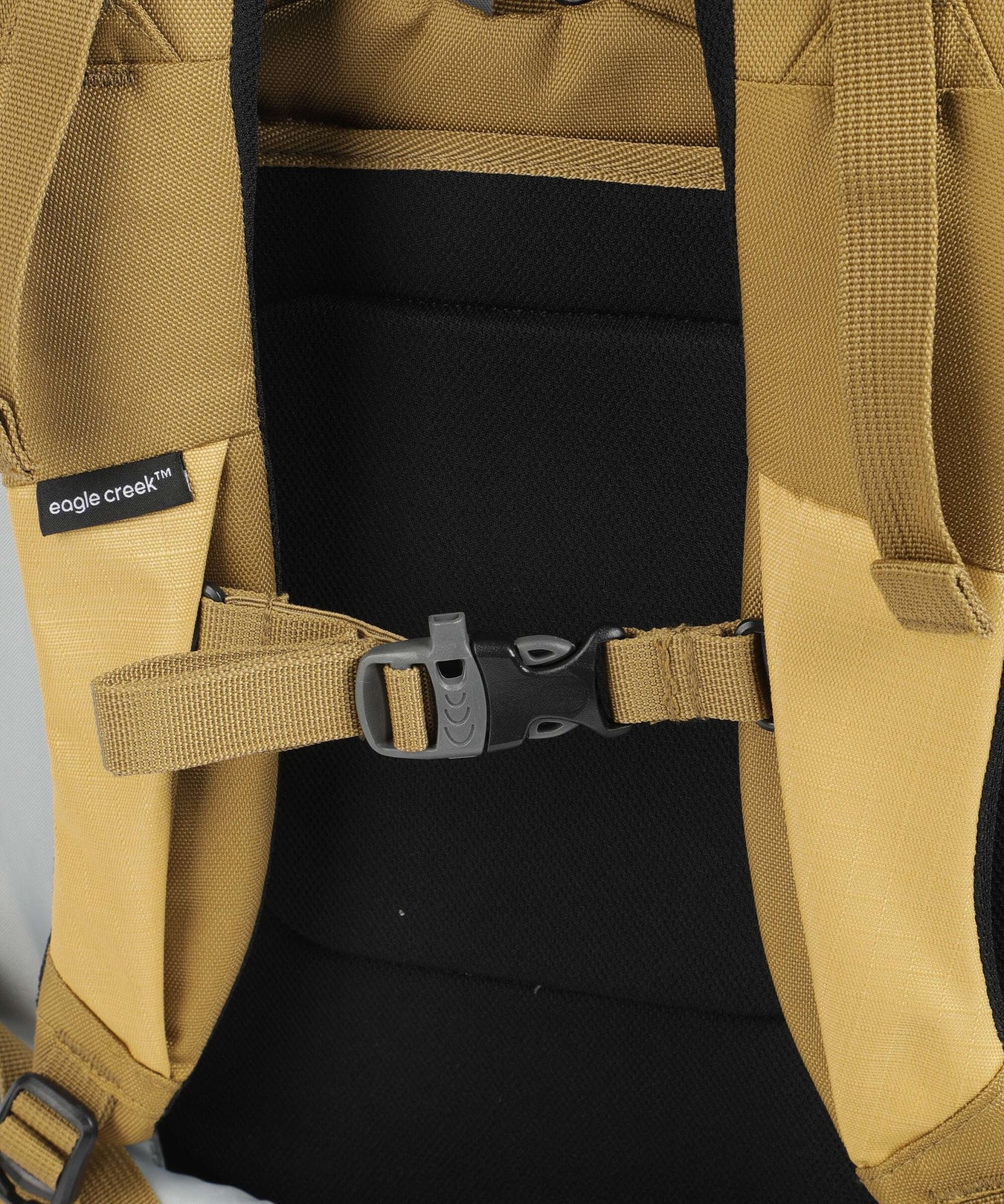 Eagle Creek Expanse Convertible 85 Backpack with wheels gold