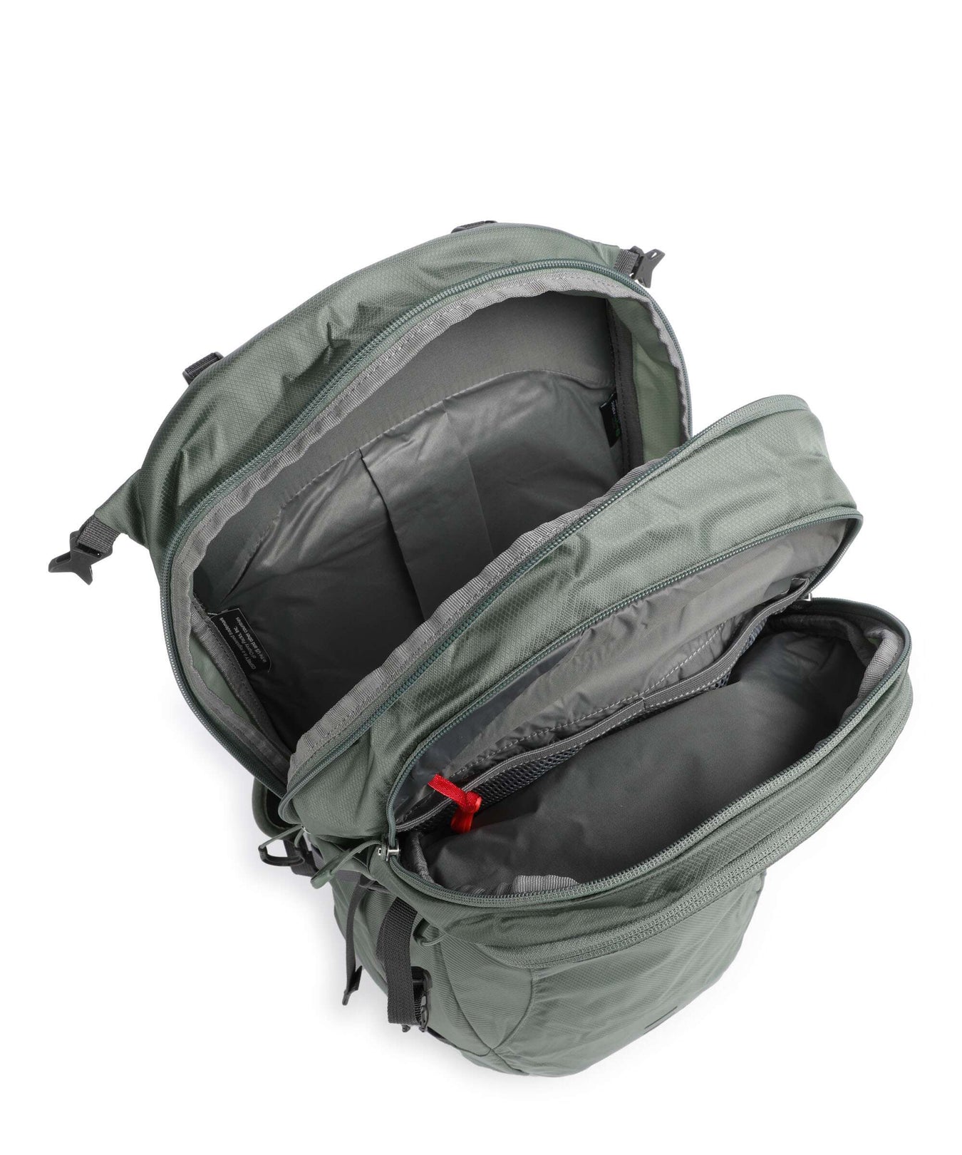 Osprey Sportlite 25 M/L Hiking backpack pine leaf green